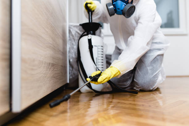 Best Residential Pest Control  in Decherd, TN