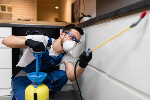 Best Affordable Pest Control Services  in Decherd, TN