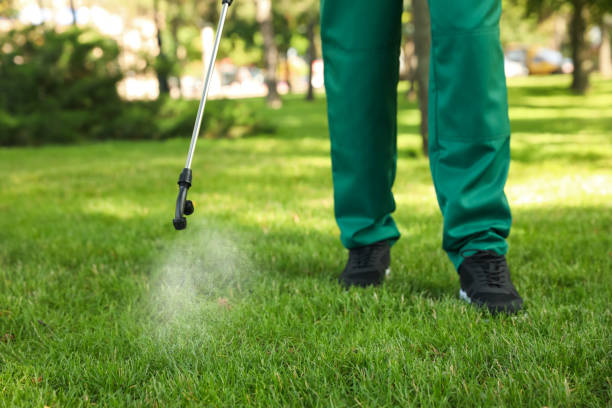 Best Cockroach Control Services  in Decherd, TN