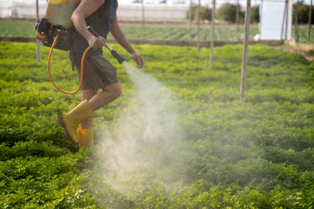 Best Pest Inspection Near Me  in Decherd, TN