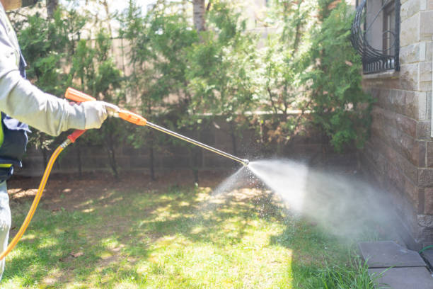 Best Best Pest Control Companies  in Decherd, TN
