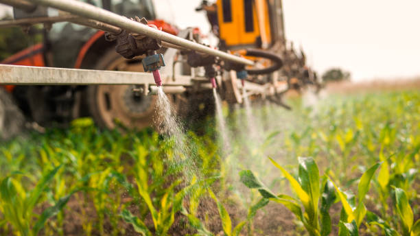 Best Wildlife Control Services  in Decherd, TN